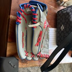 Rawlings baseball glove