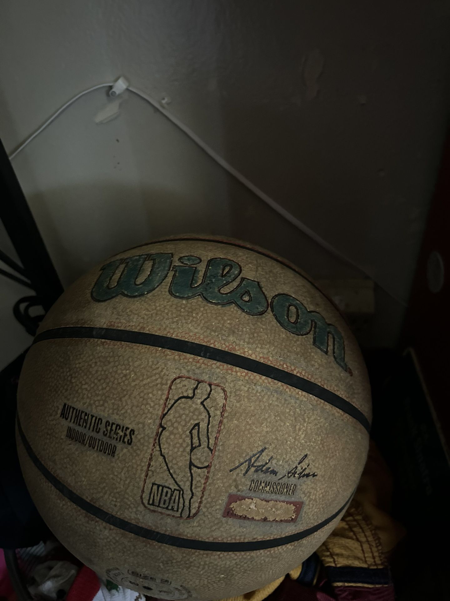 Wilson Basketball