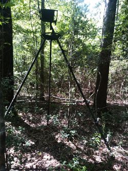 Tripod Hunting Stand - 10 ft tall