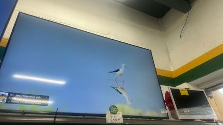 Vizio Tv 55 Inch 