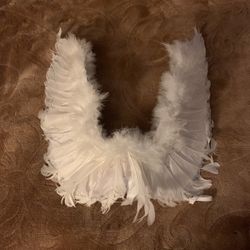 Angle Wings