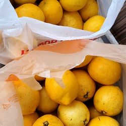 Eureka Lemons