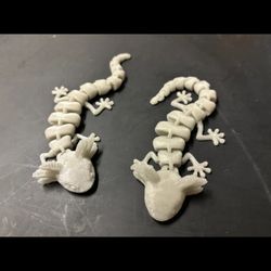 3-D printed axolotl