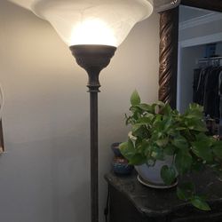 Beautiful Torch Lamp