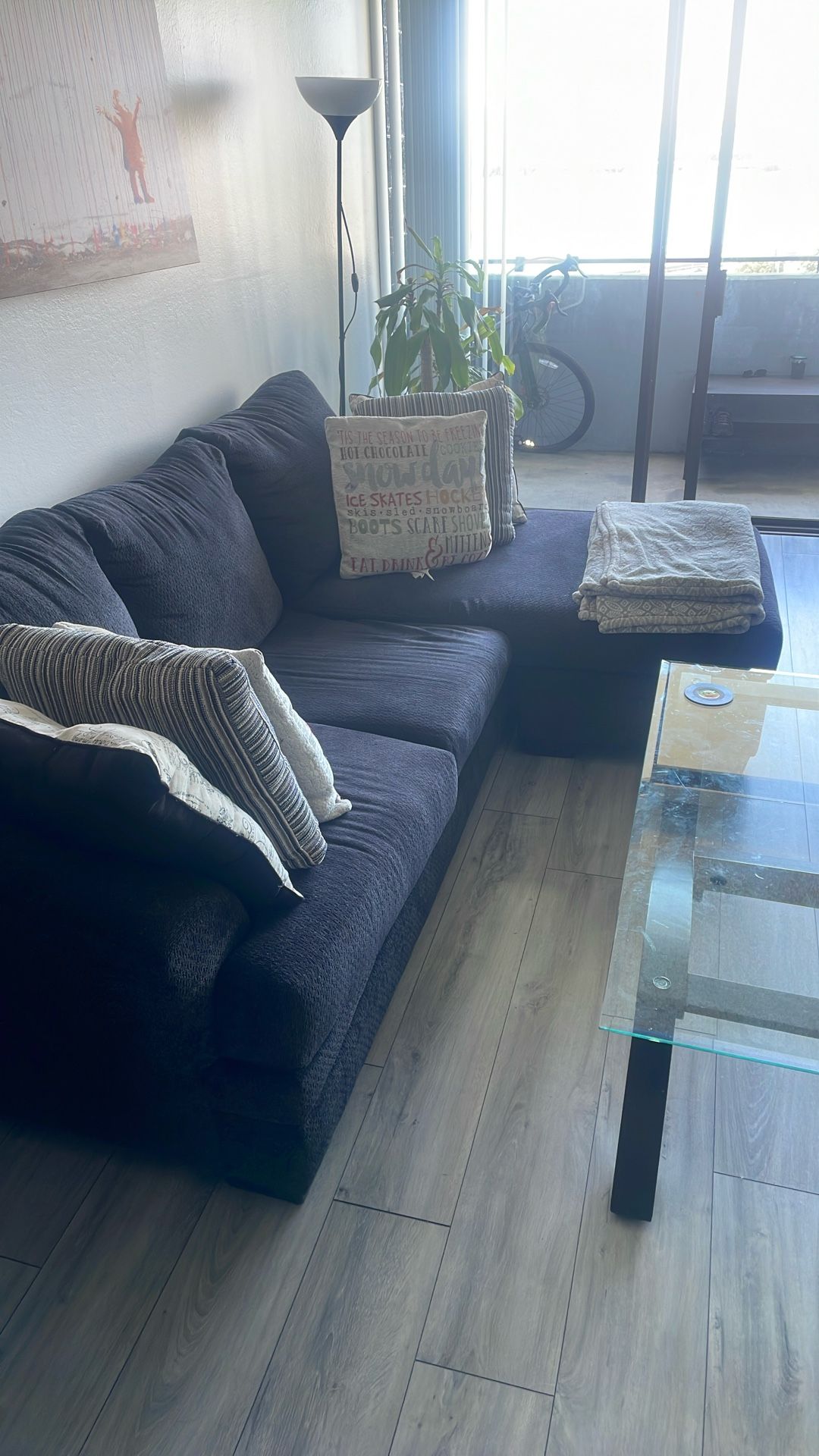Sectional Couch