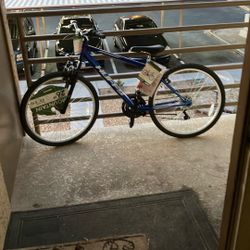 Brand new bike with tags