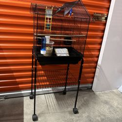 Bird Cage 