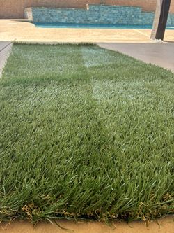 Dog turf