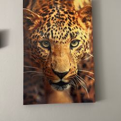 3 paintings for $55