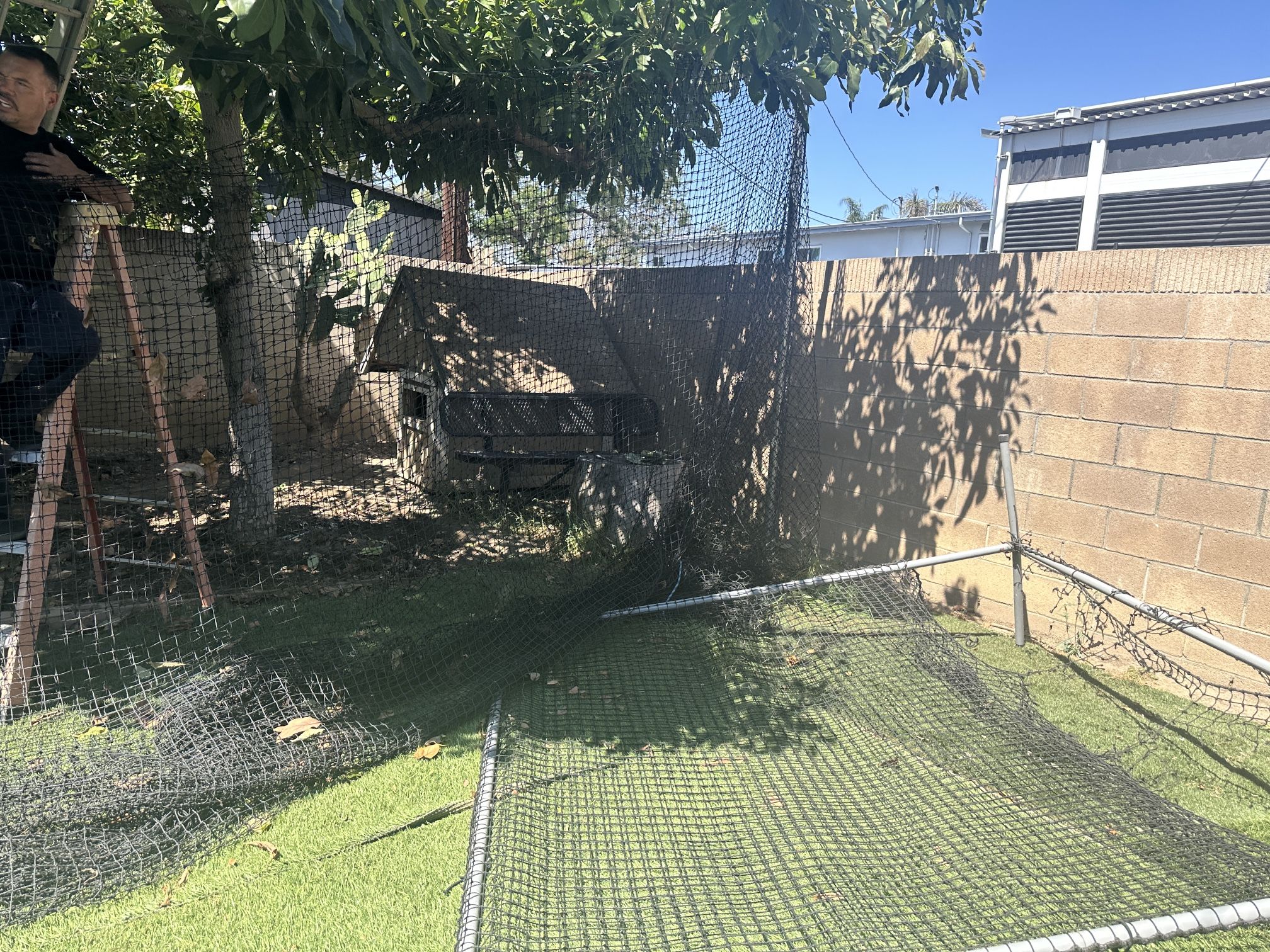 Batting Cage Net And Backscreen