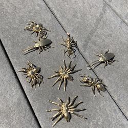 Gold spider and bug collection 