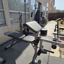 Gym Equipment 
