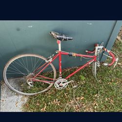 Vintage Shimano Bike 
