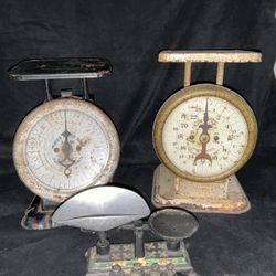 Three Antique Scales. American Family.  Pelouze. Cast Iron