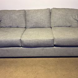 Couch and Loveseat 