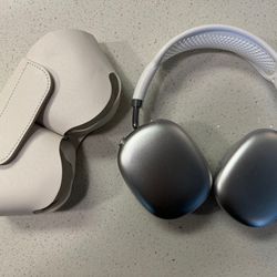 Bluetooth Headphones, White, Grey