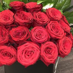 Rose Arrangement 🌹