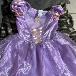 Rapunzel Disney Princess