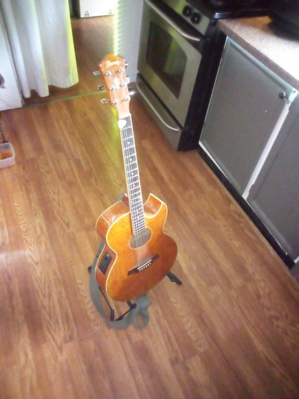 Guitar (Acoustic/Electric)