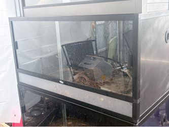 Reptile tank
