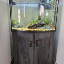 36 Gallon Bowfront Glass Aquarium 