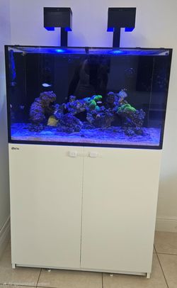 RS Reefer 300 XL (Empty)