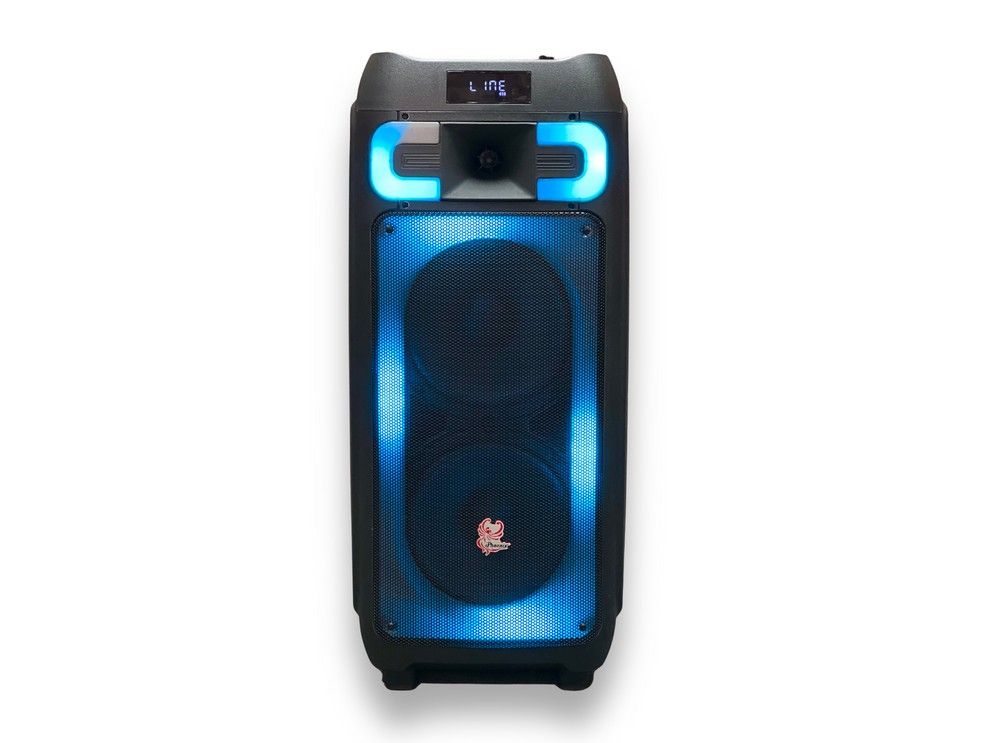 2x8inch Powered Bass Speaker