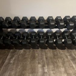 Silver Handled Dumbbells 