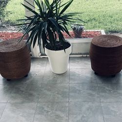 bamboo chairs (2)