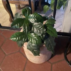 Heavy 8’ Ceramic Pot Only  