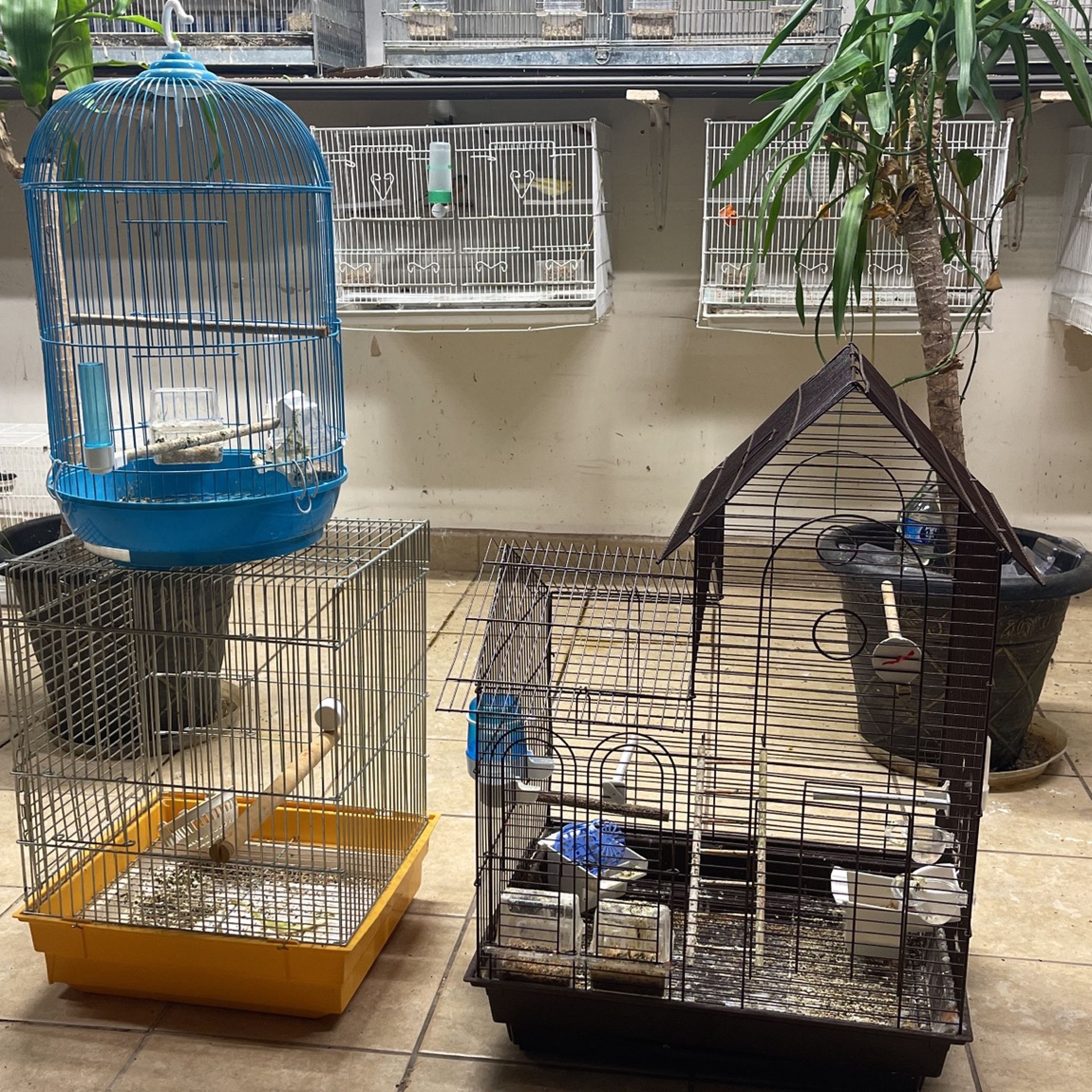 Cage