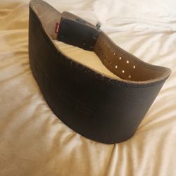 Ethos Lifting Belt