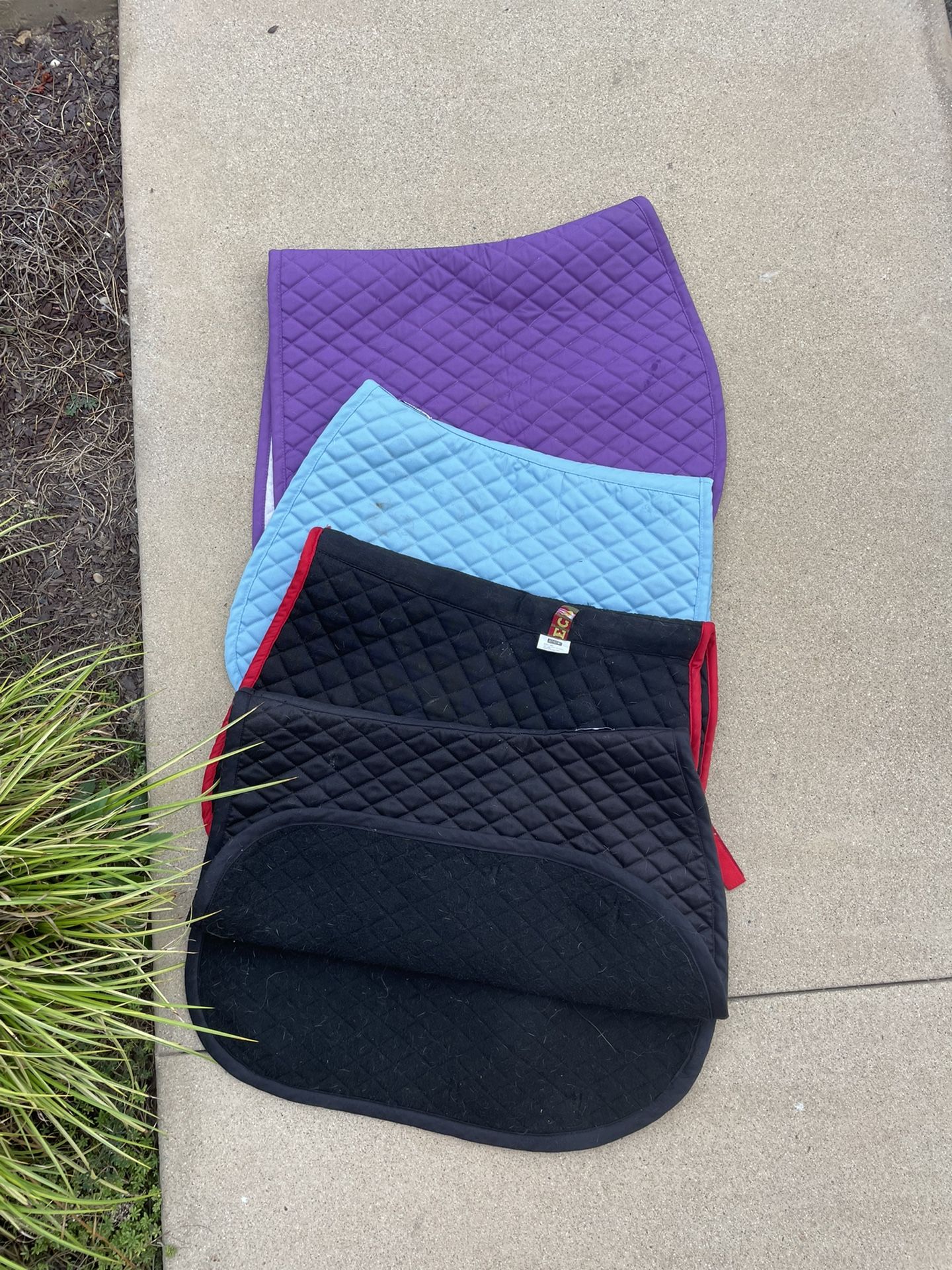 Used Horse Pads