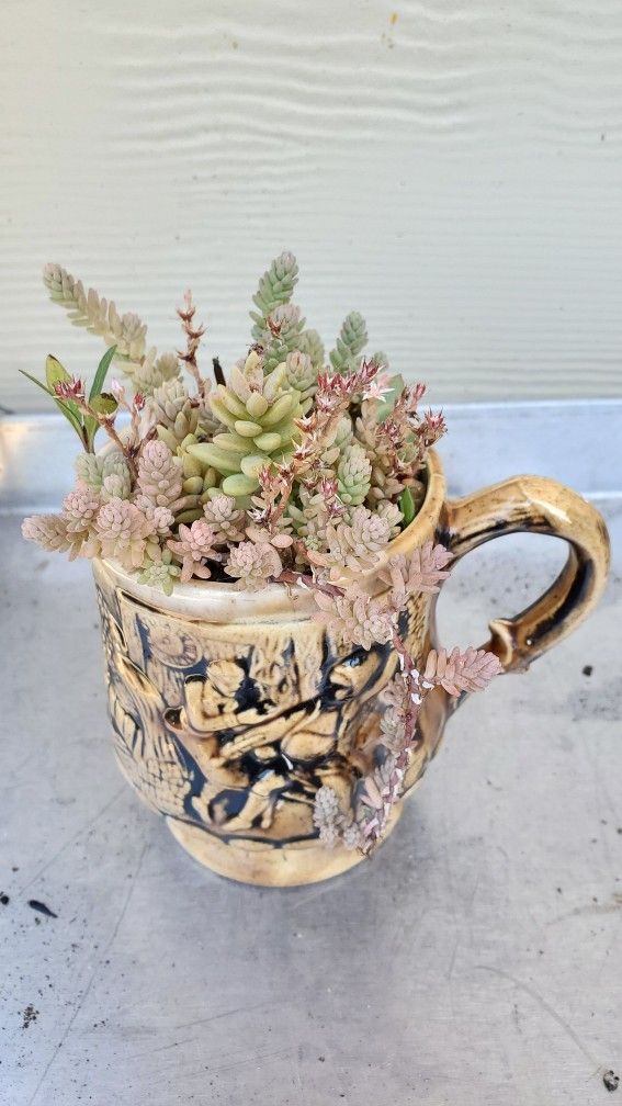 Succulent Mug * 4"×4"