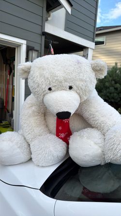 Teddy bear toy