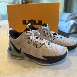 Lebron Witness VII  Shoes 