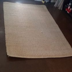 Rug - Potterybarn 