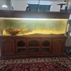 Fish Tank With Stand