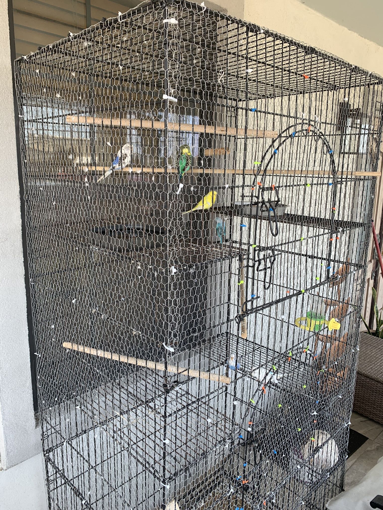 Cage For Sale (OBO )