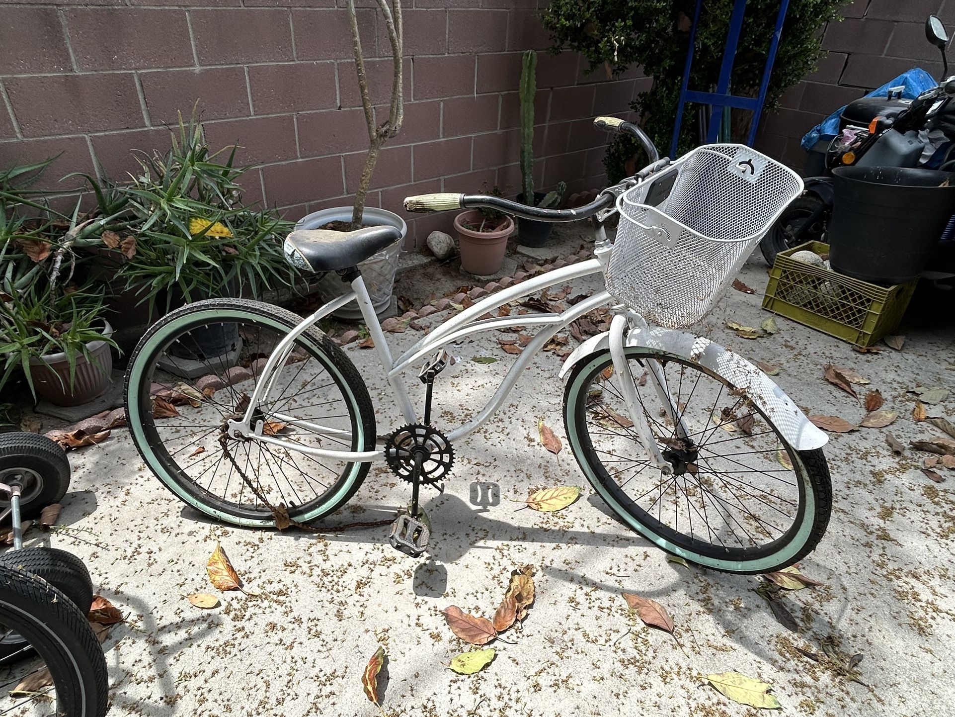 Beautiful Bike