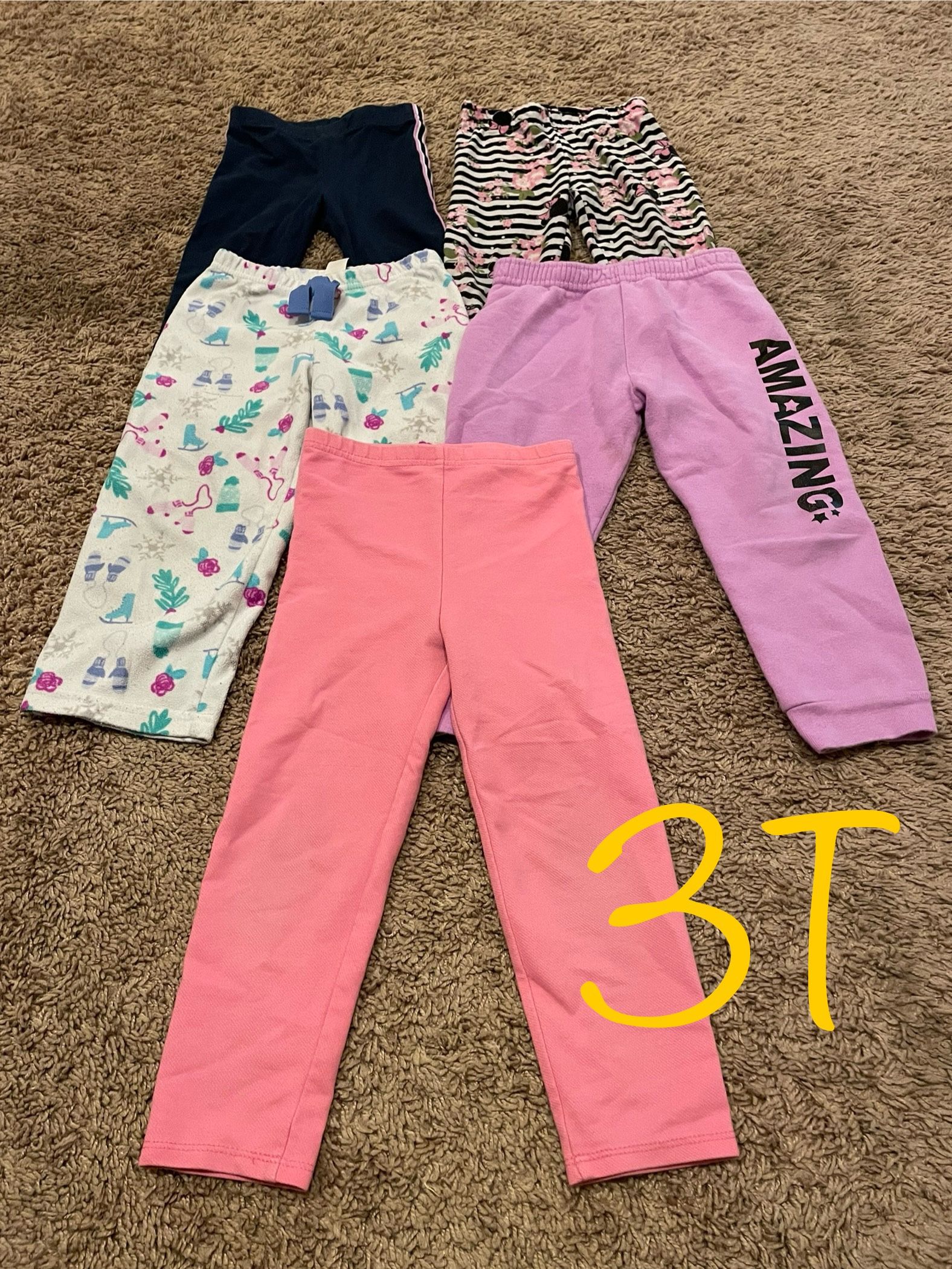 Winter/fall Girl Pants Clothes Size 3T