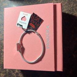 Sterling Silver 6” 3/4 Pandora X Netflix Stranger Things Bracelet 