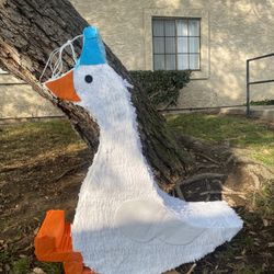 Pinata Duck