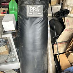 Punching Bag