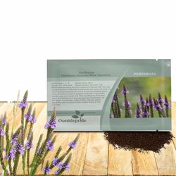 Verbena Seeds - Blue Vervain