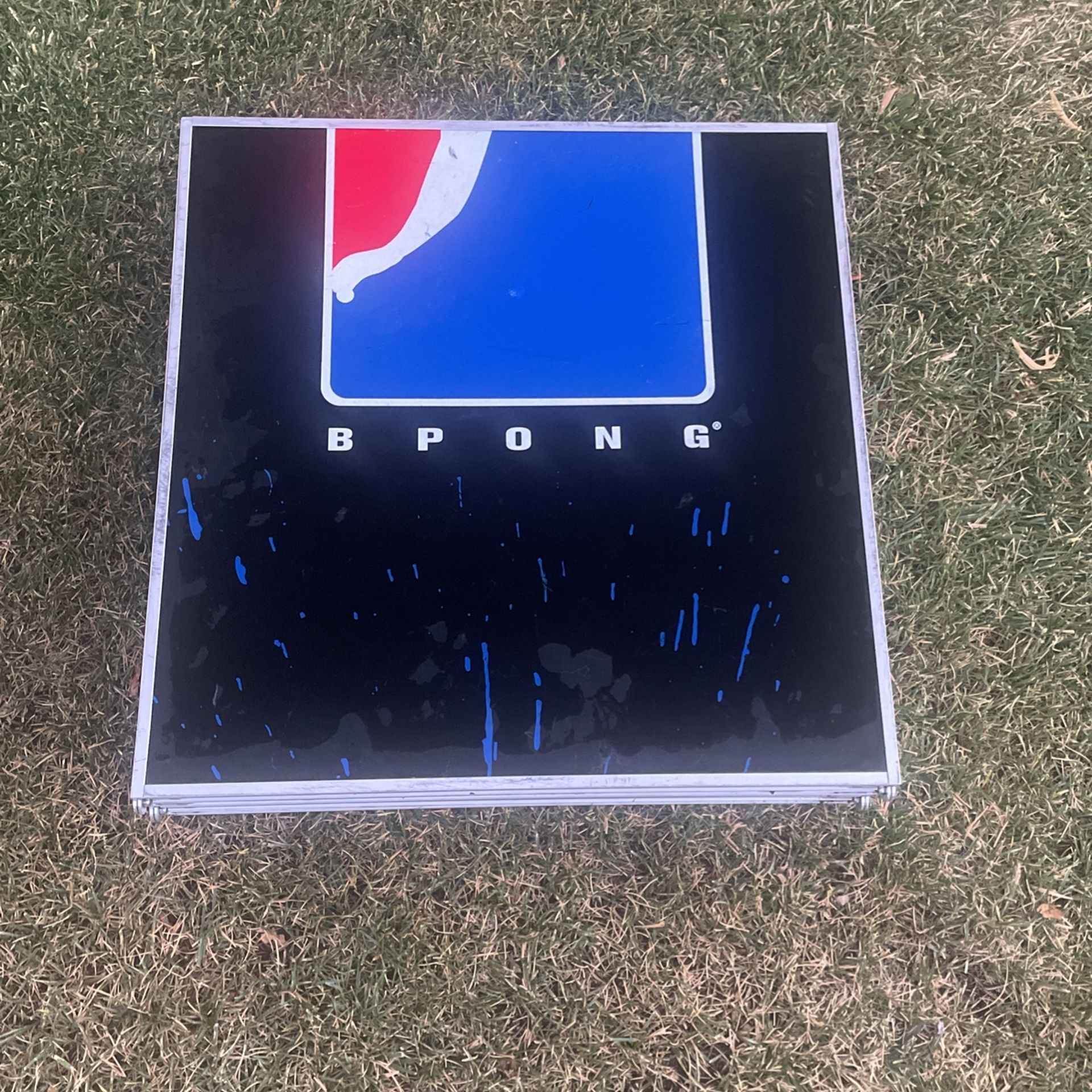 Beer Pong Table