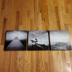 3 Canvas Pictures 