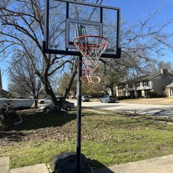 Lifetime Basketball Hoop