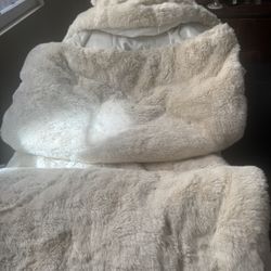 Like New PB Teen Pottery Barn Kids Faux Fur Velvet Teddy Bear 