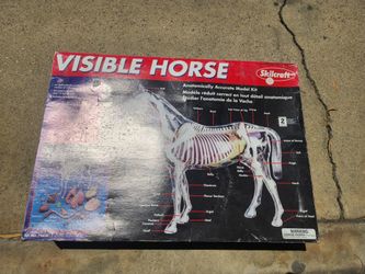 Visible horse model kit